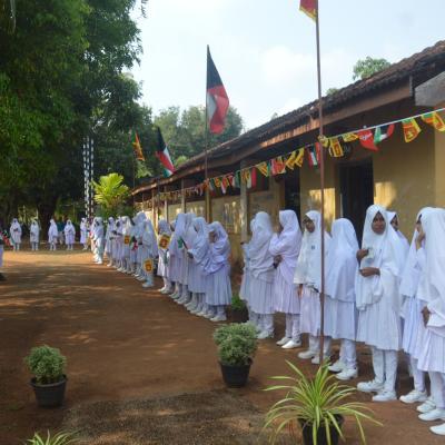 Img 20230319 Wa0120 Copy Copy Thumb